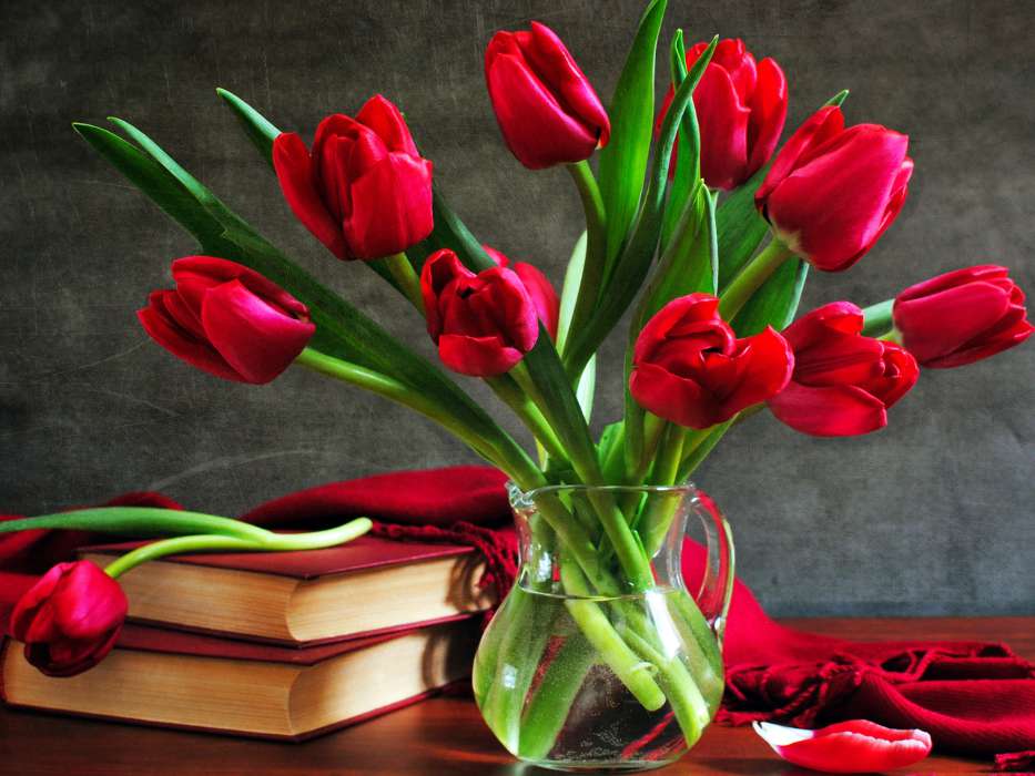 Bouquets,Flowers,Plants,Tulips