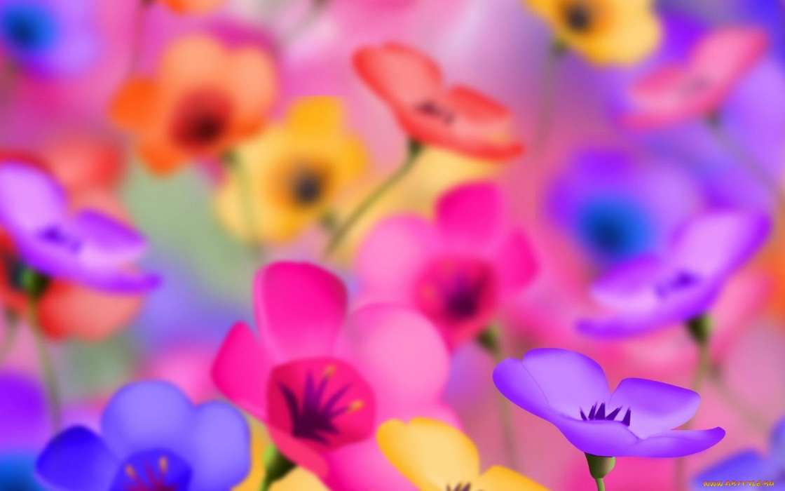 Flowers, Background