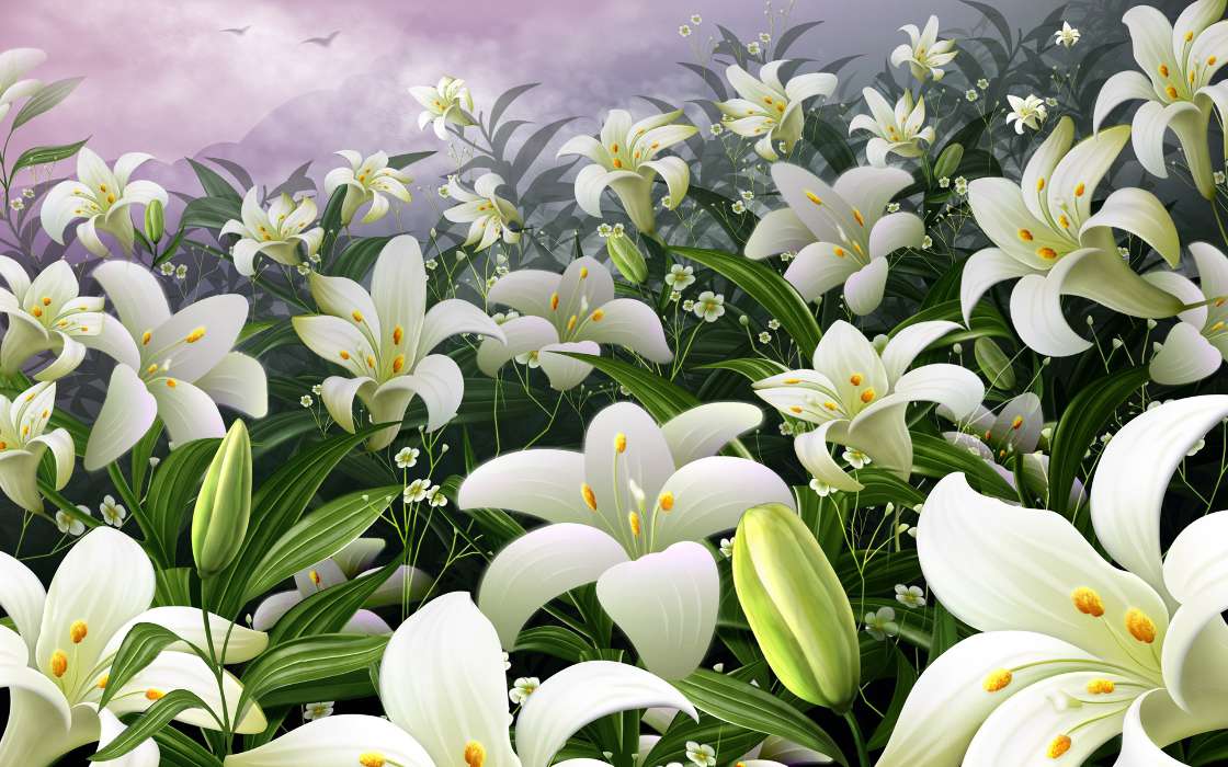Flowers,Background