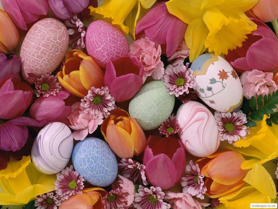 Plants, Flowers, Backgrounds, Eggs, Easter