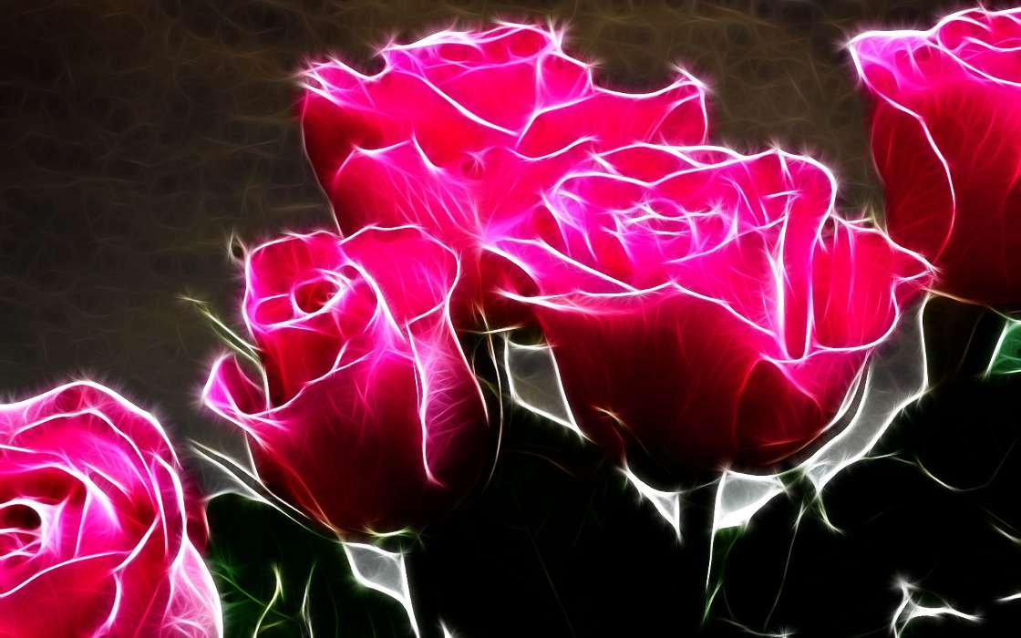 Flowers, Background, Plants, Roses