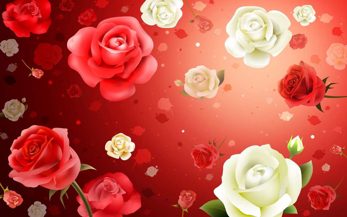 Plants, Flowers, Backgrounds, Roses