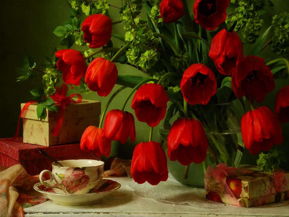 Flowers,Plants,Tulips