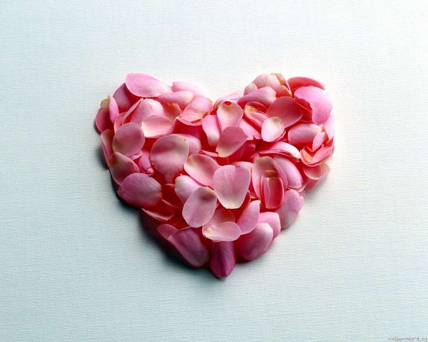 Holidays, Hearts, Love, Valentine&#039;s day