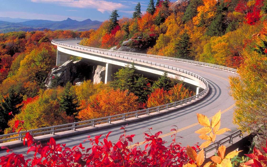 Landscape, Bridges, Trees, Roads, Autumn