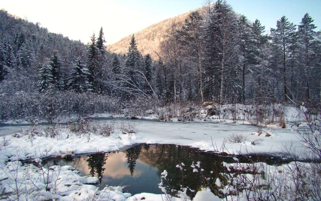 Landscape, Winter, Trees, Snow, Fir-trees, Lakes