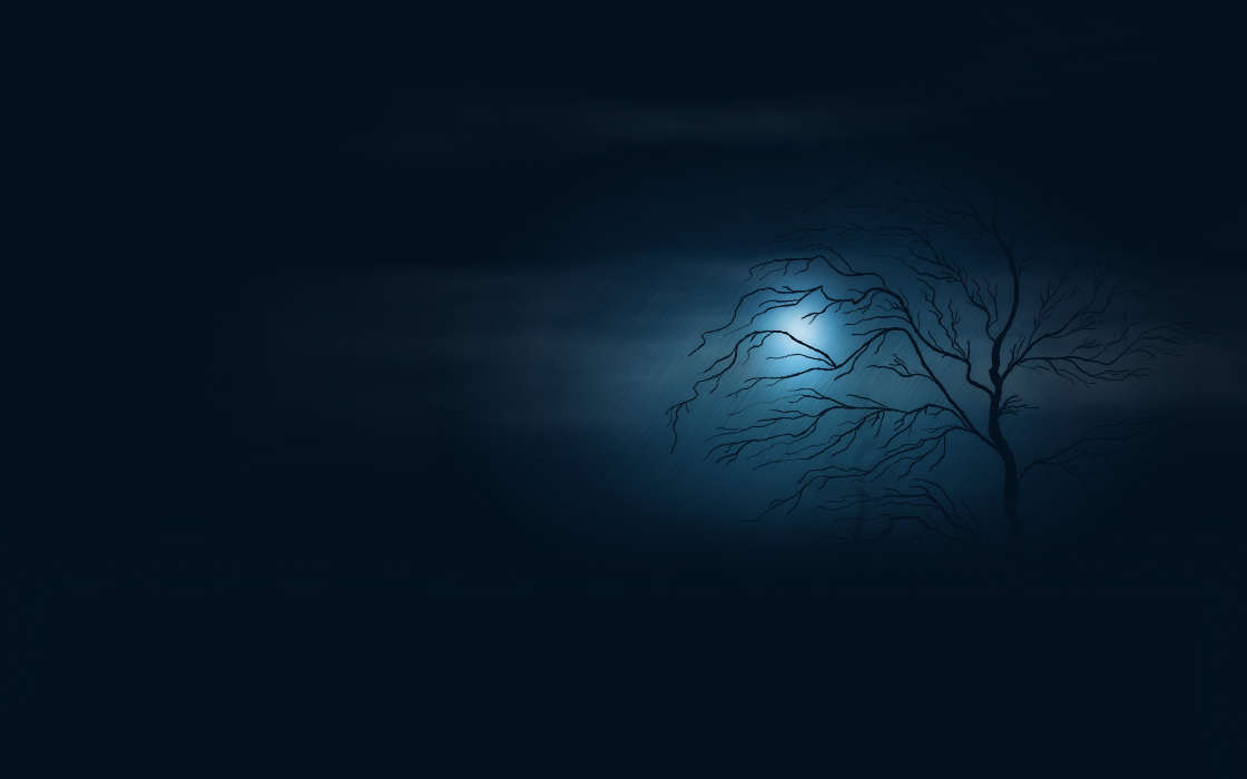 Trees, Background, Night