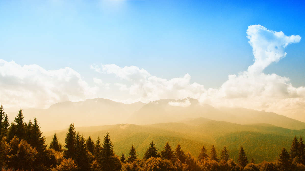 Trees, Mountains, Sky, Clouds, Landscape