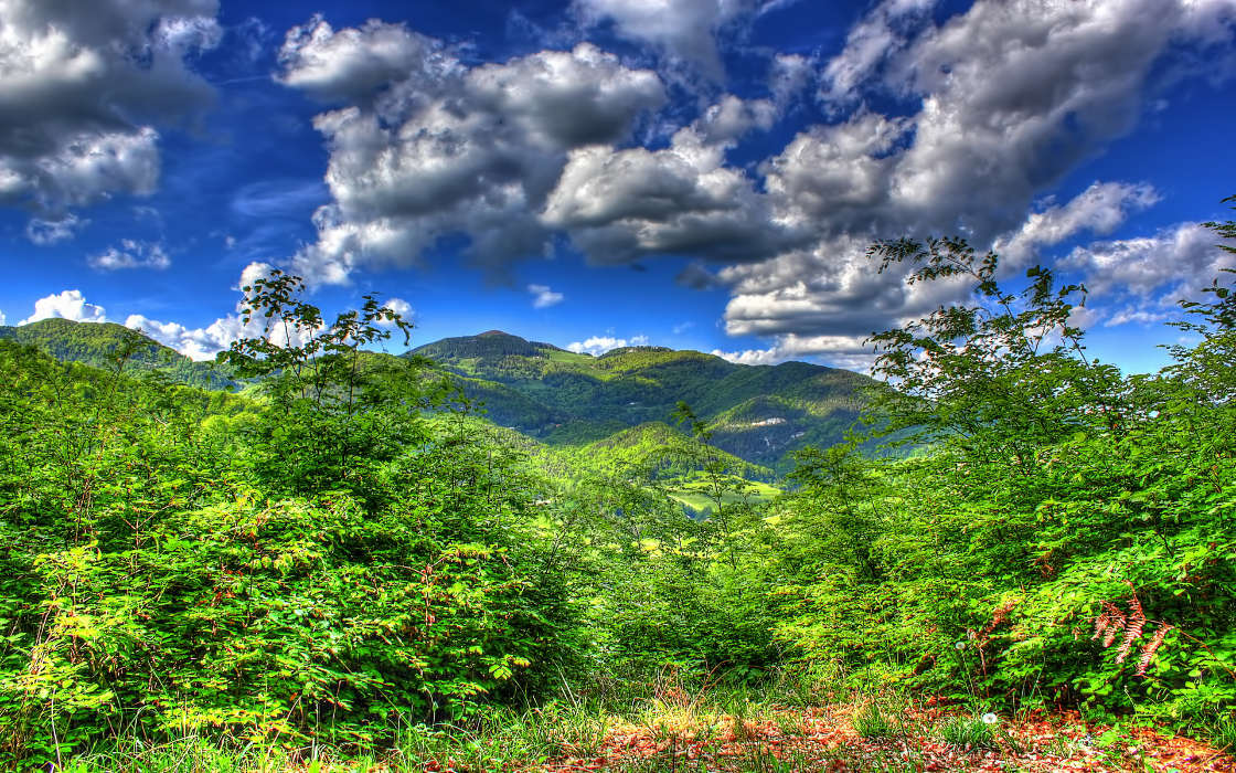 Trees, Mountains, Sky, Clouds, Landscape