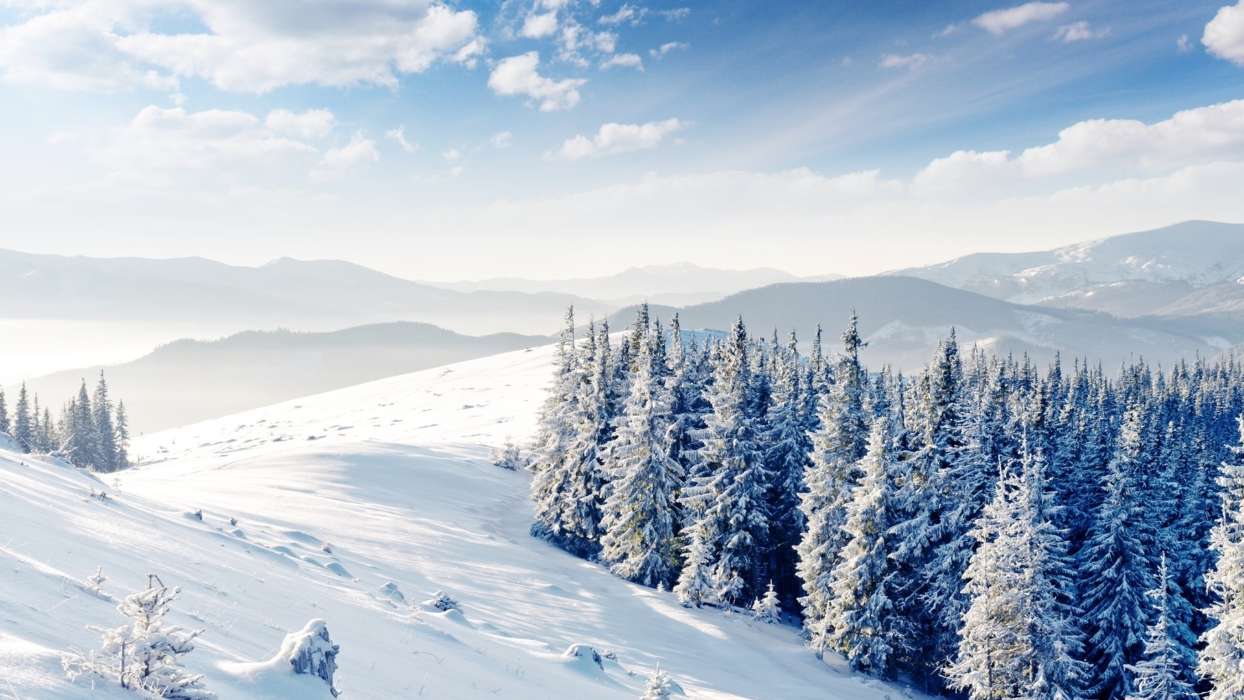 Trees, Mountains, Landscape, Snow, Winter