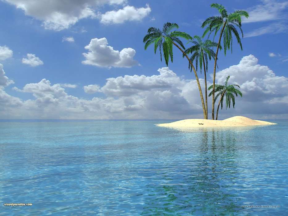 Landscape, Water, Trees, Sea, Palms, Summer