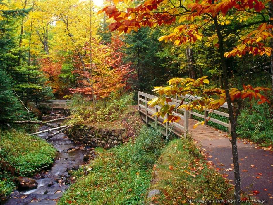 Plants, Landscape, Rivers, Bridges, Trees, Autumn