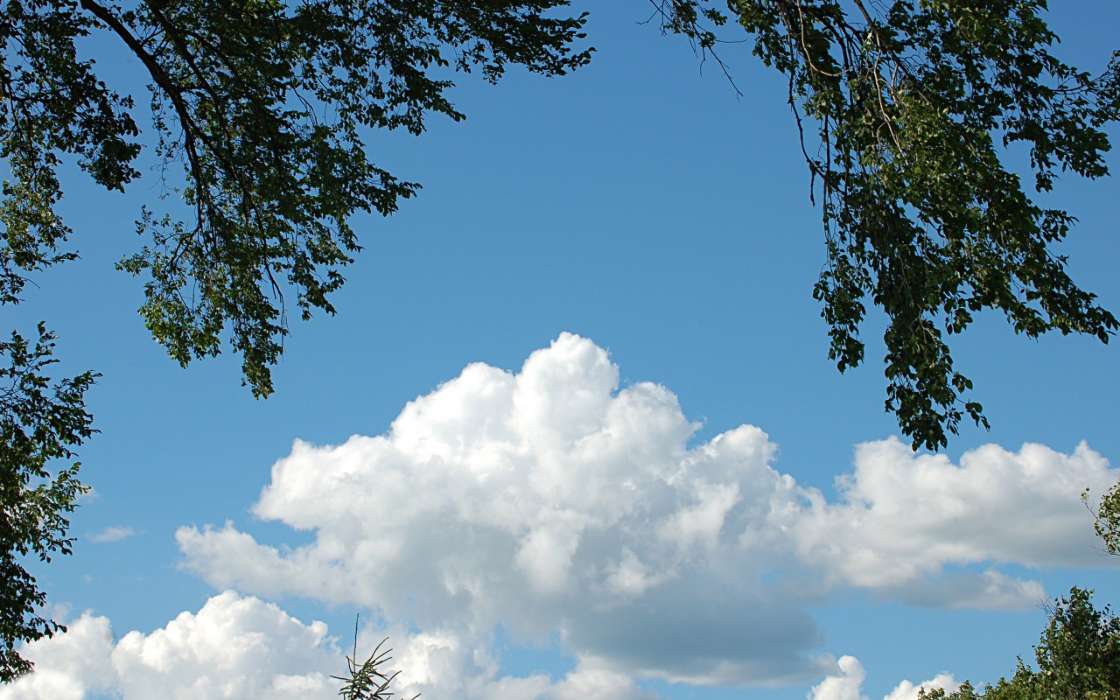 Trees, Sky, Clouds, Landscape