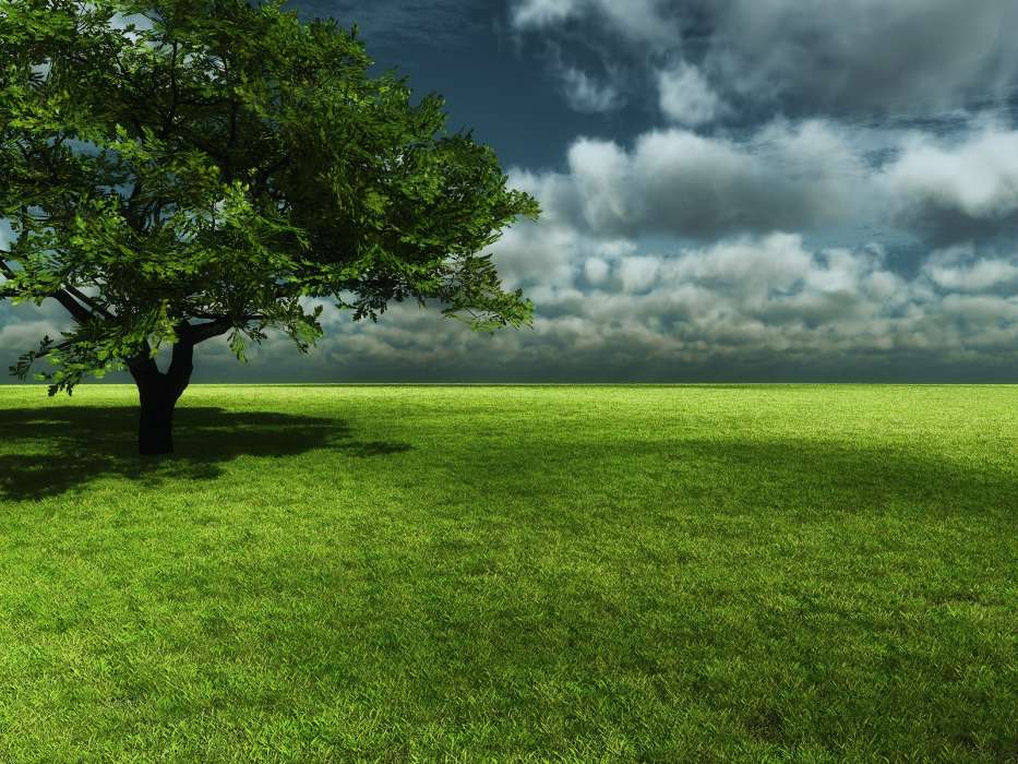 Landscape, Trees, Grass, Sky