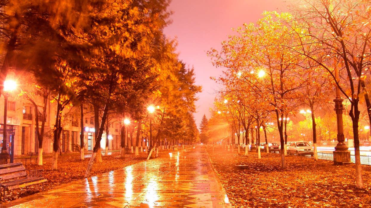 Trees, Night, Autumn, Landscape, Streets