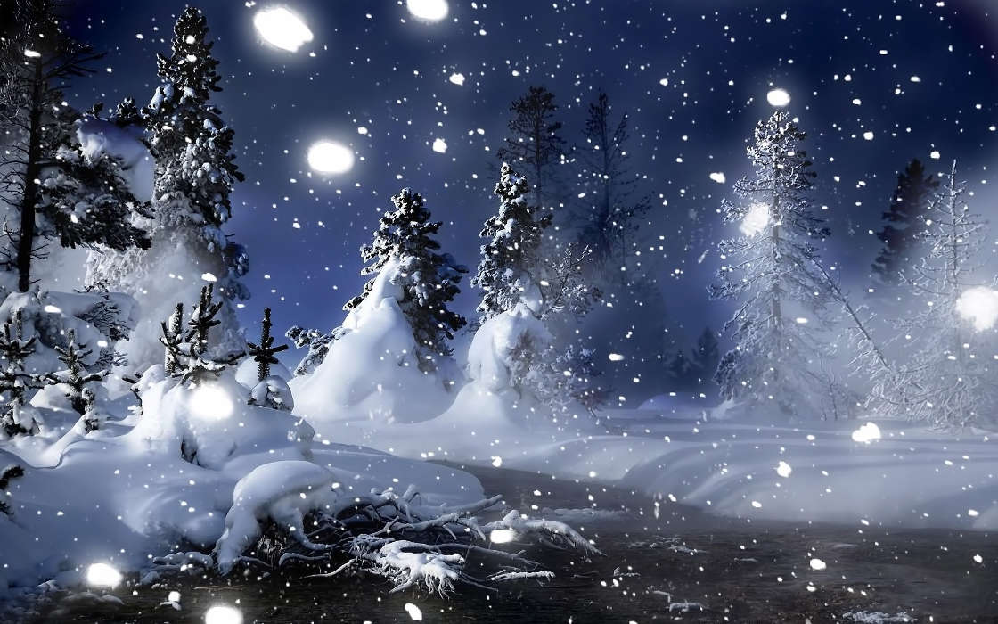 Trees, Night, Landscape, Snow