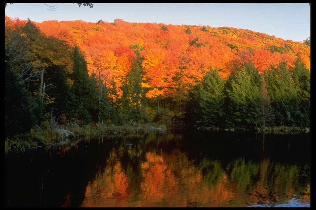 Landscape, Trees, Autumn, Lakes