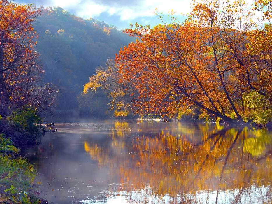 Landscape, Water, Trees, Autumn, Lakes