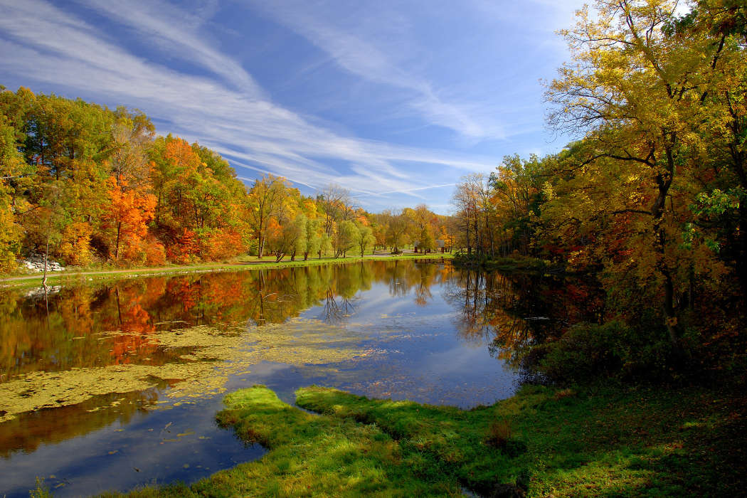 Trees, Autumn, Landscape, Rivers