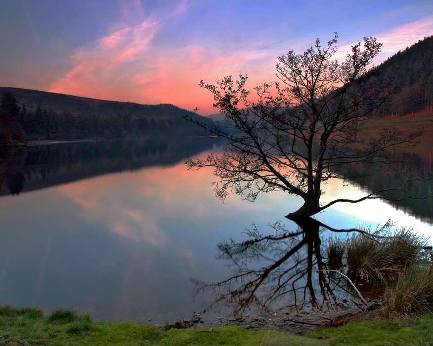 Landscape, Water, Trees, Lakes