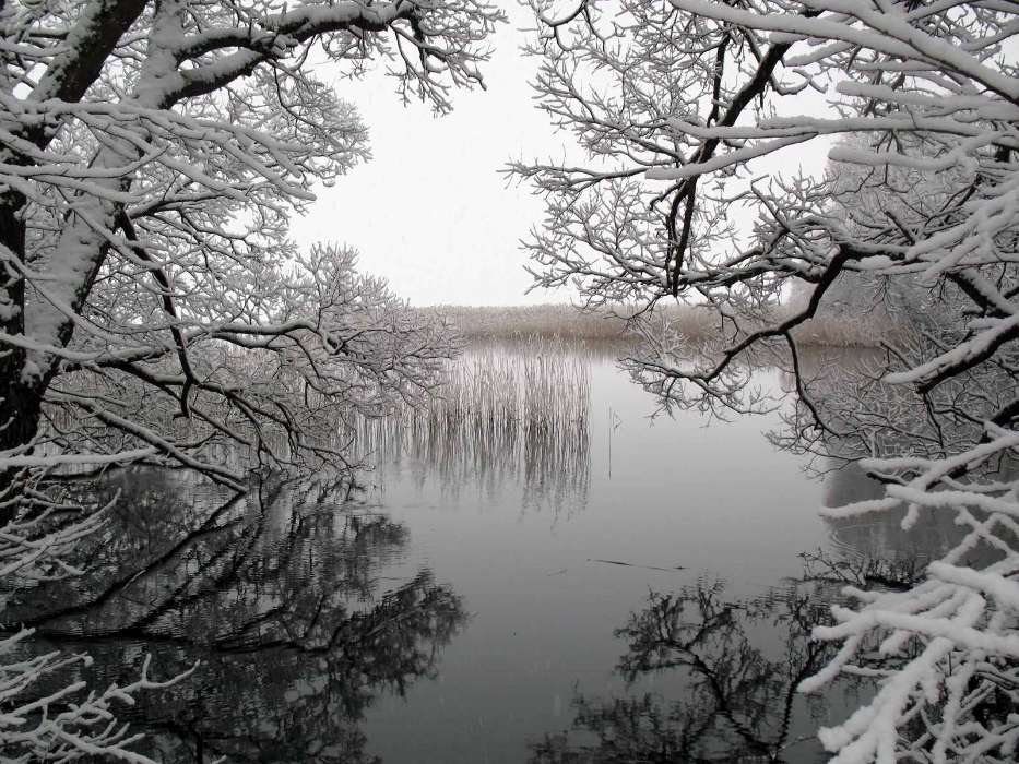 Landscape, Winter, Water, Trees, Lakes