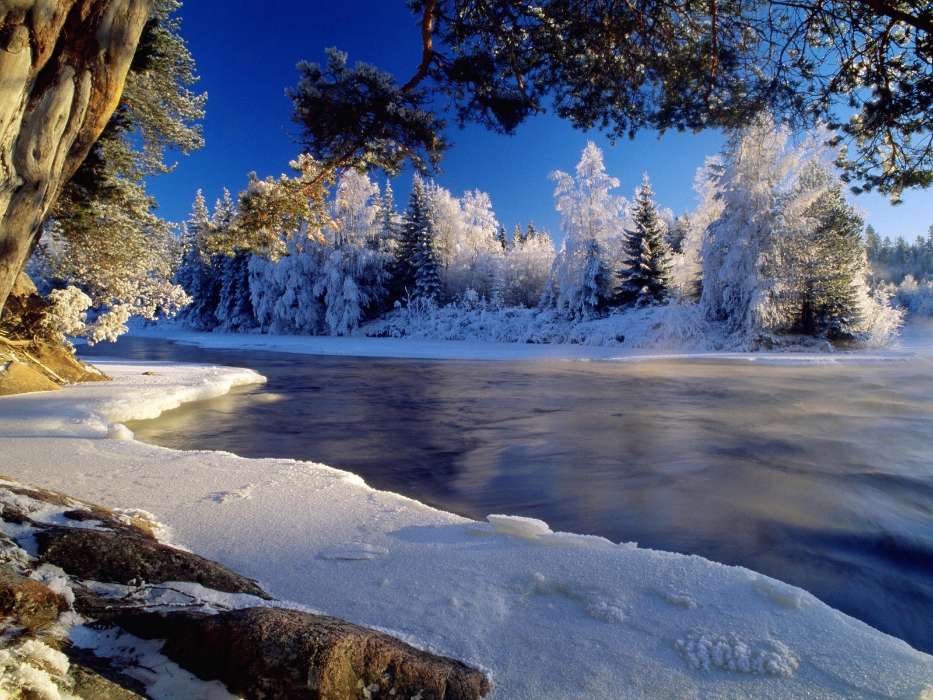 Landscape, Winter, Rivers, Trees, Snow