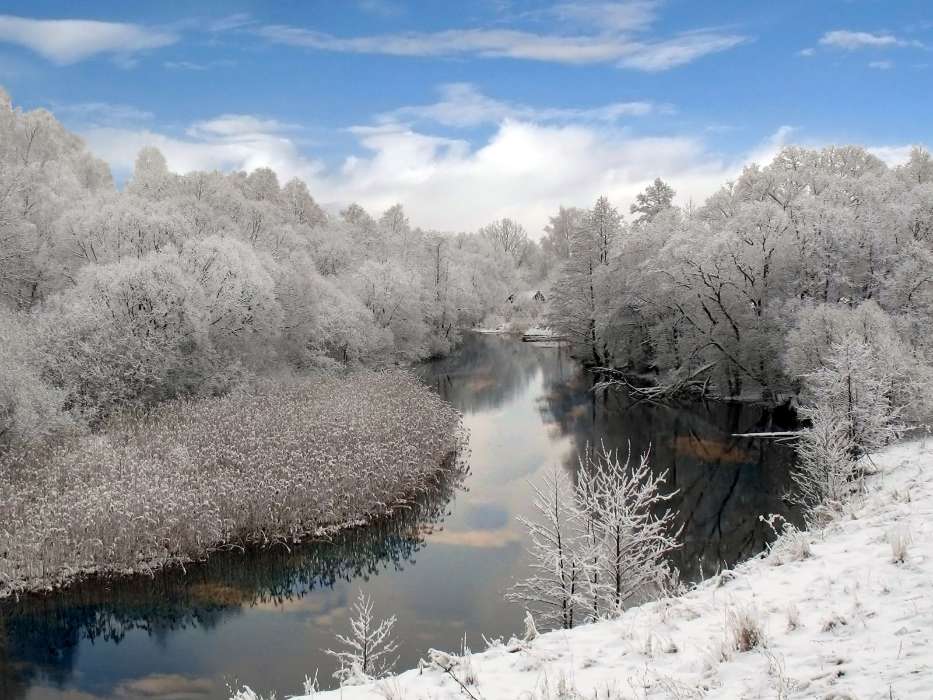 Landscape, Winter, Rivers, Trees