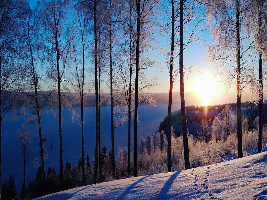 Landscape, Winter, Trees, Sunset, Snow