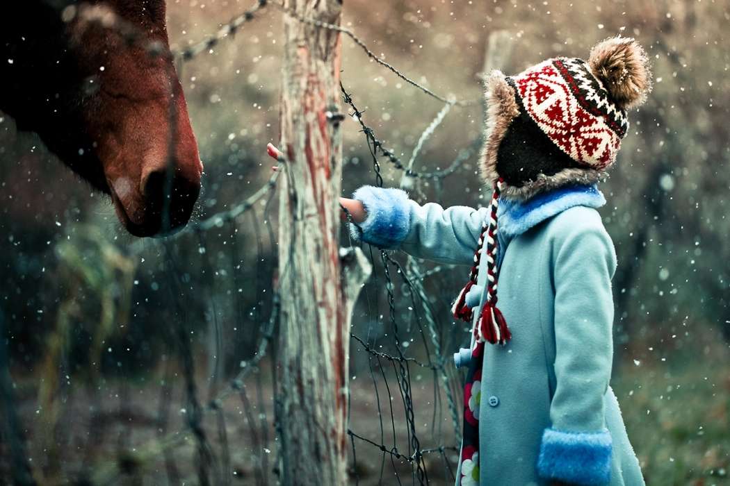 Children, Horses, People, Winter