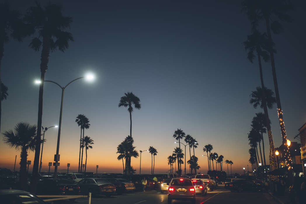 Roads, Cities, Night, Palms, Landscape