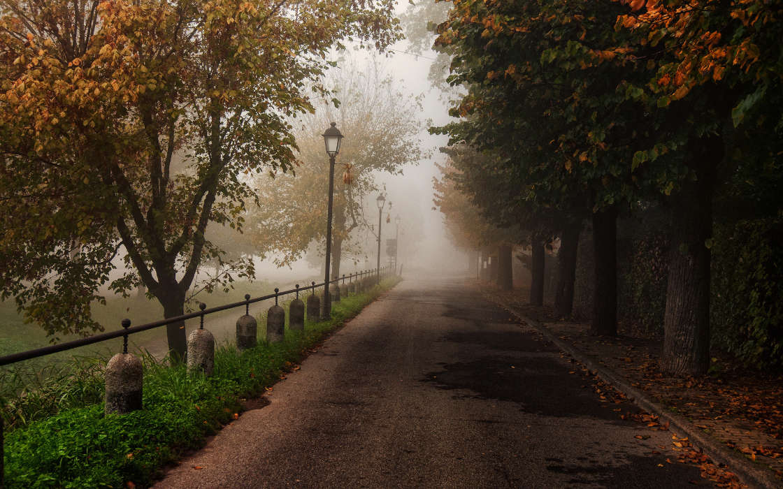 Roads, Autumn, Landscape