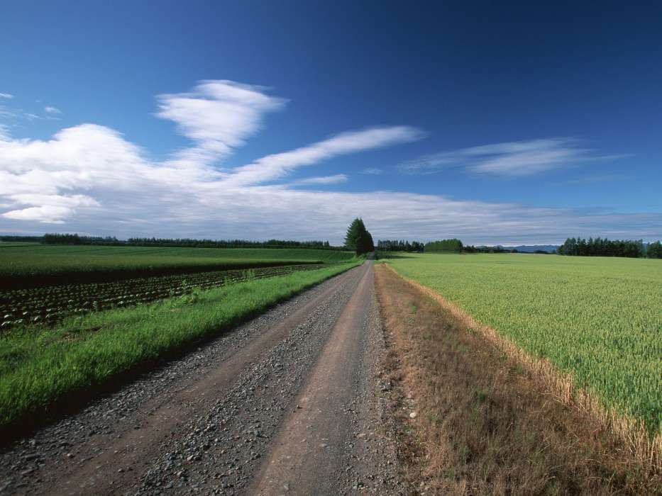 Landscape, Roads
