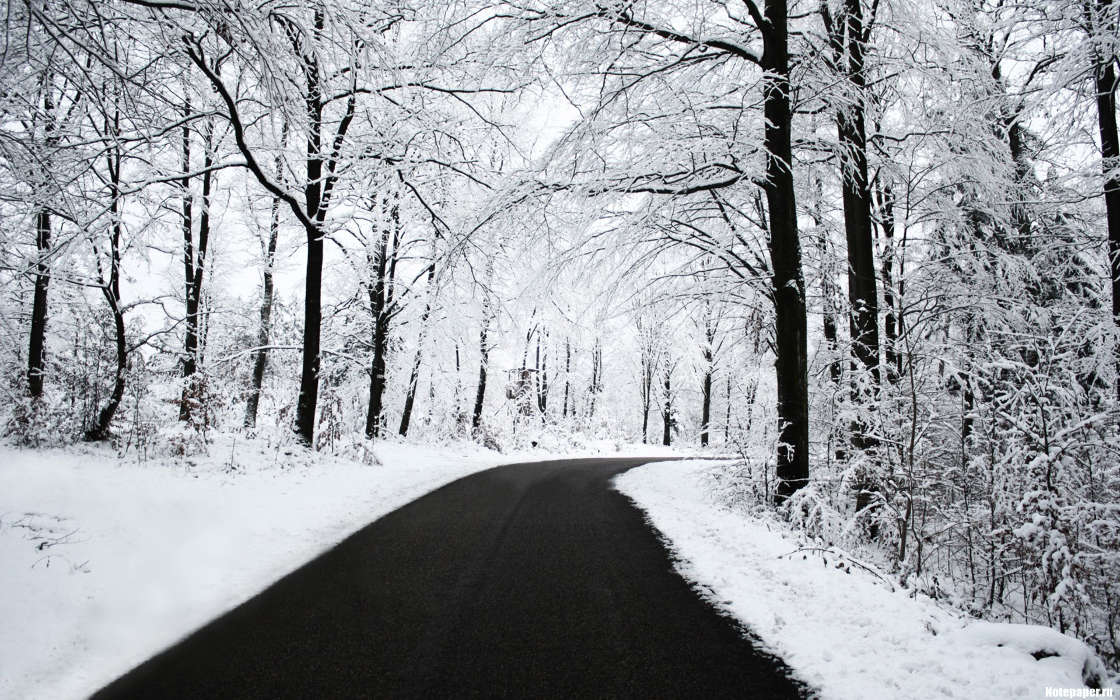 Roads, Nature, Winter