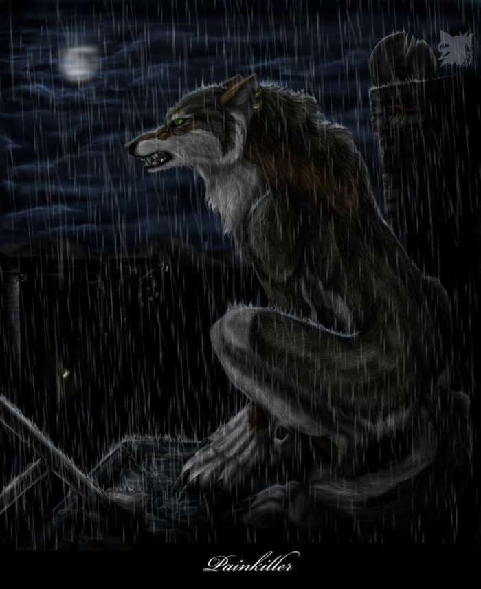 Rain, Fantasy, Wolfs, Animals