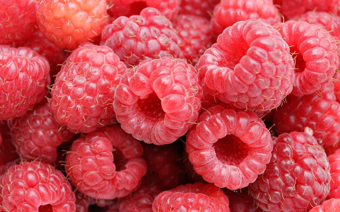 Food, Background, Fruits, Berries, Raspberry