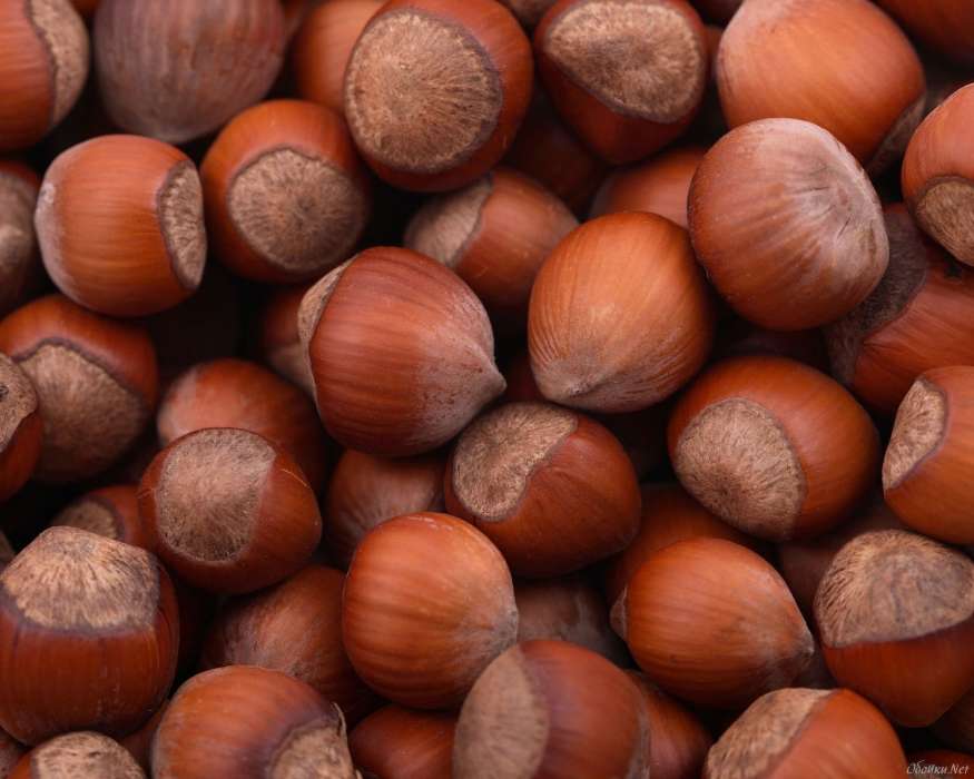 Food, Background, Nuts