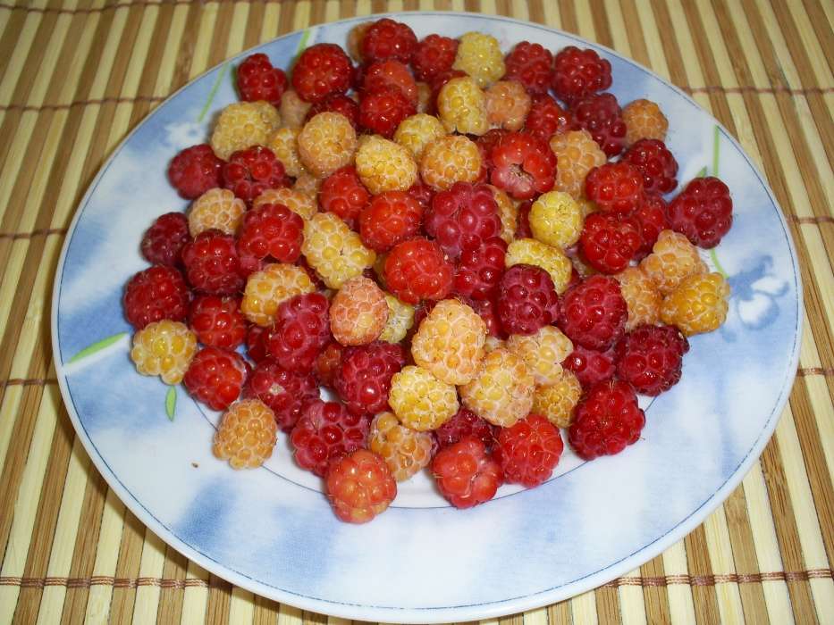Fruits, Food, Raspberry, Berries