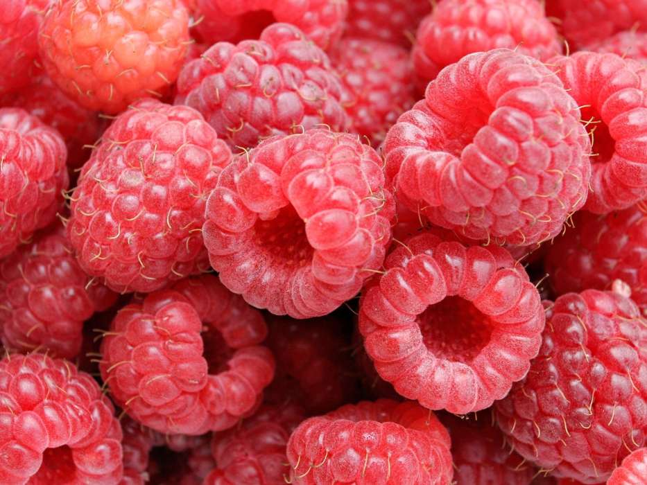 Food,Fruits,Raspberry