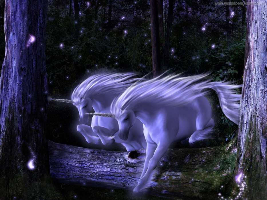 Unicorns,Fantasy
