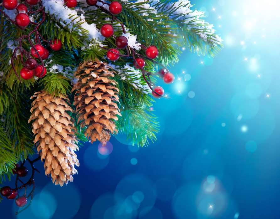 Fir-trees, Background, New Year, Holidays, Christmas, Xmas, Cones