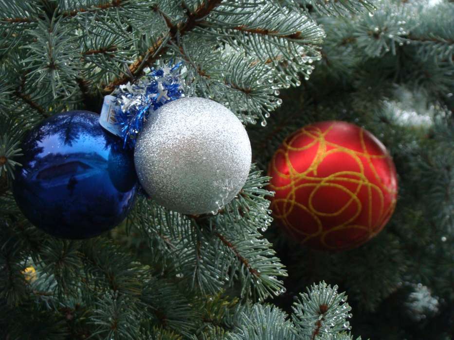 Fir-trees, Toys, New Year, Holidays, Christmas, Xmas
