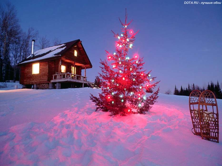 Holidays, Landscape, Winter, New Year, Fir-trees, Christmas, Xmas