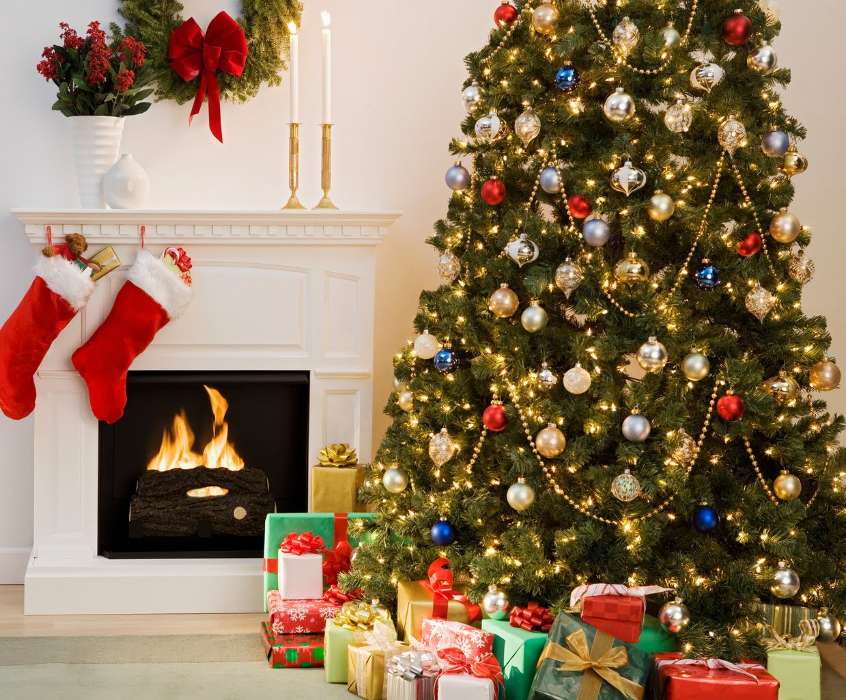 Fir-trees, New Year, Holidays, Christmas, Xmas