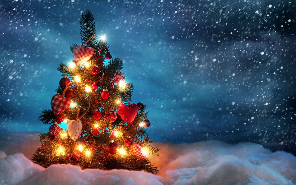 Fir-trees, New Year, Holidays, Christmas, Xmas, Snow