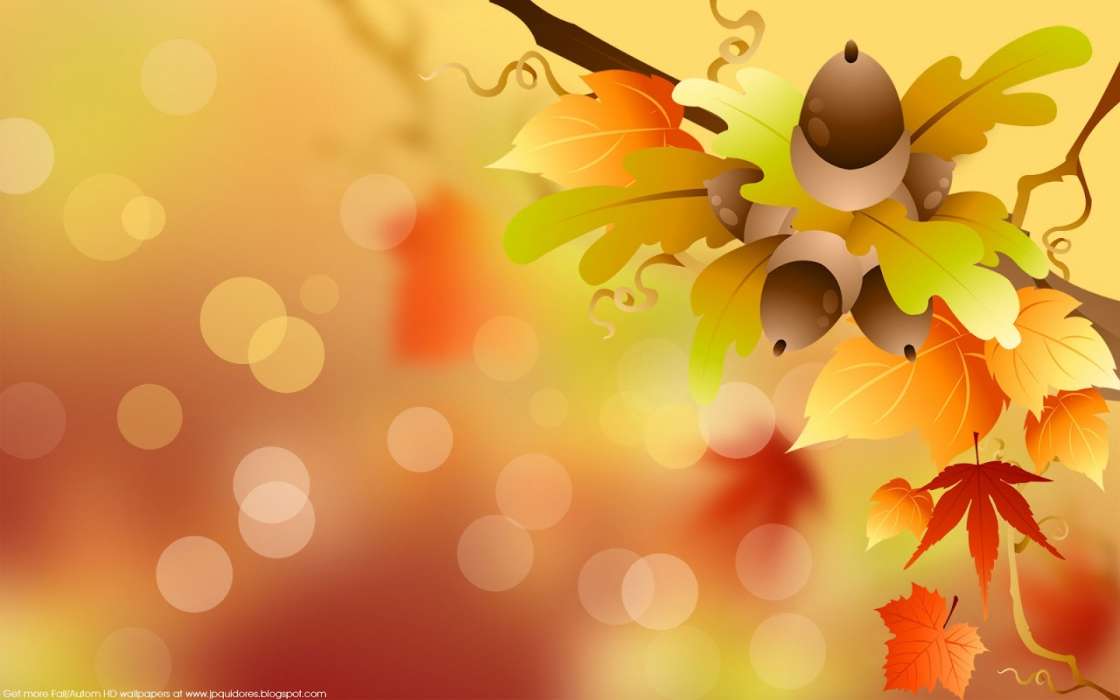 Acorns, Background, Leaves, Autumn, Pictures
