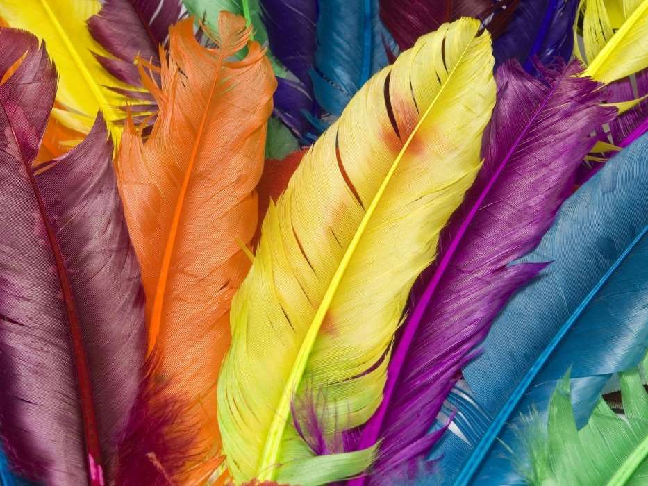 Feather,Background