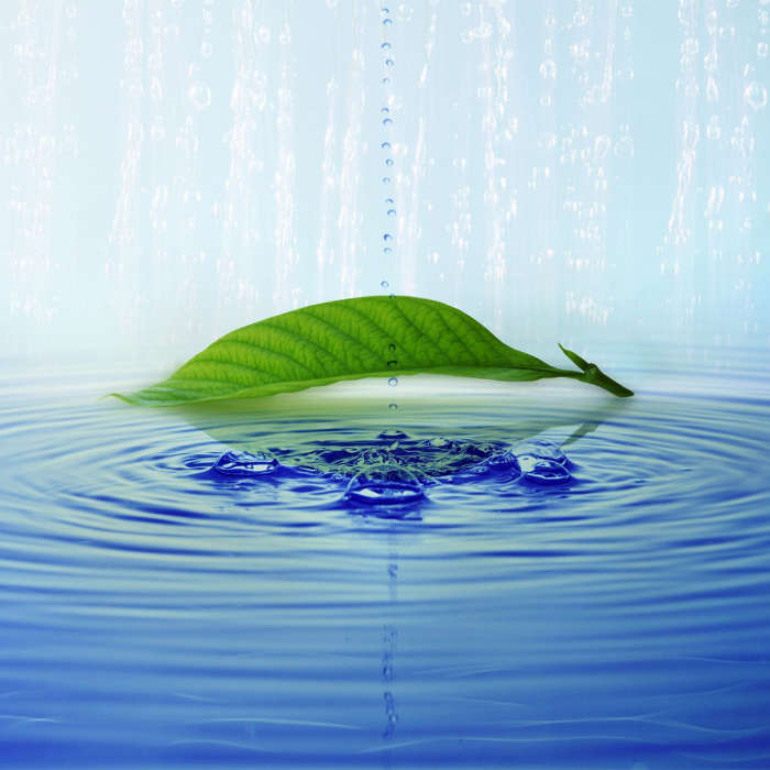 Background, Drops, Leaves, Water