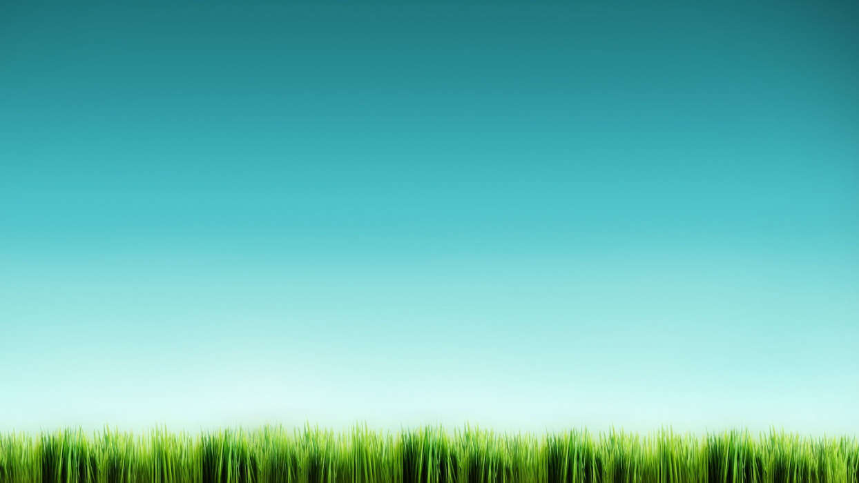 Background, Sky, Grass