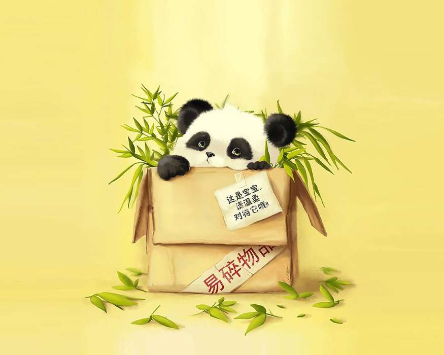 Background,Pandas,Animals