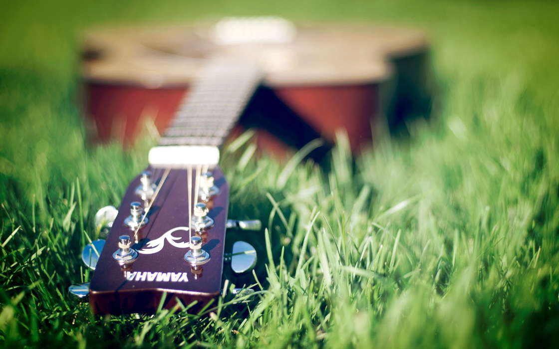 Guitars, Tools, Music, Grass